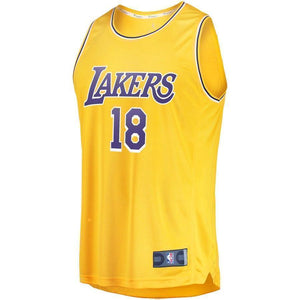 18-Joel Berry II Los Angeles Lakers  Jersey - Icon Edition - Gold